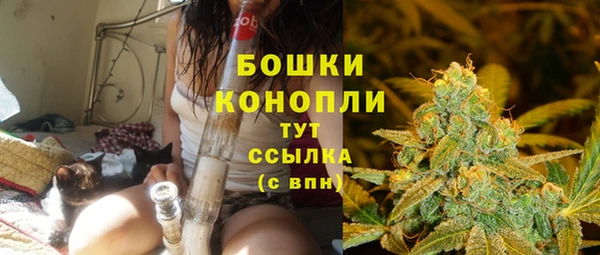 МДПВ Медногорск