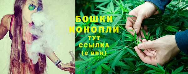 спиды Михайлов