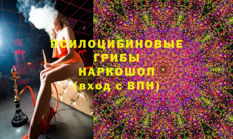 купить наркоту  Нюрба  Псилоцибиновые грибы Cubensis 