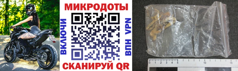 Галлюциногенные грибы Psilocybe  где найти   Нюрба 